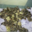 valerij_beskorsyj